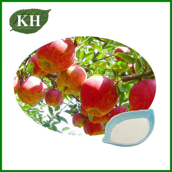 Phloretin Powder Phloretin Powder